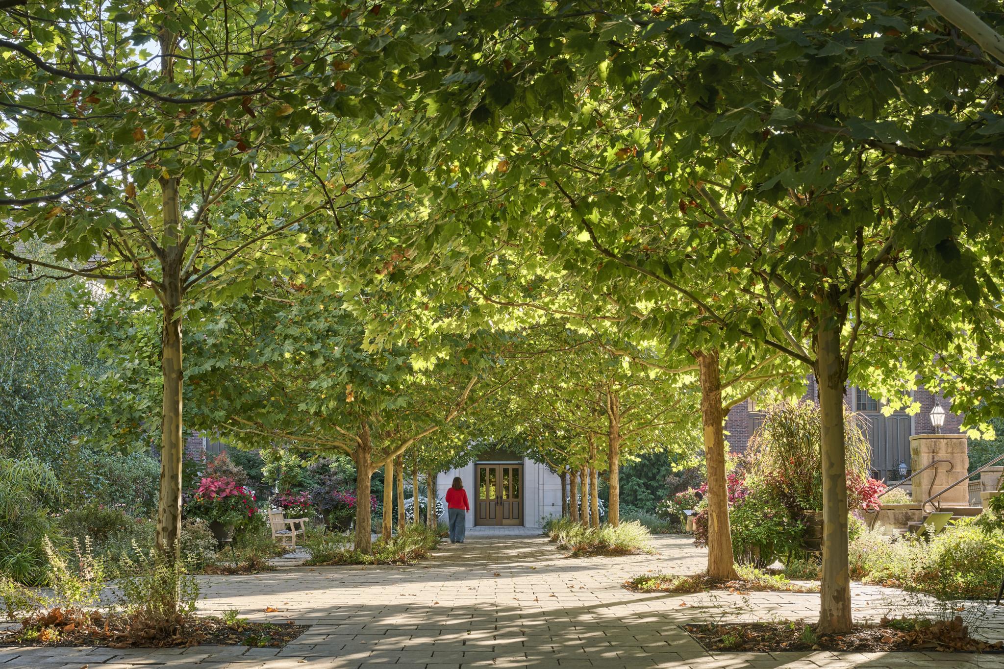 Pathway at corporate campus