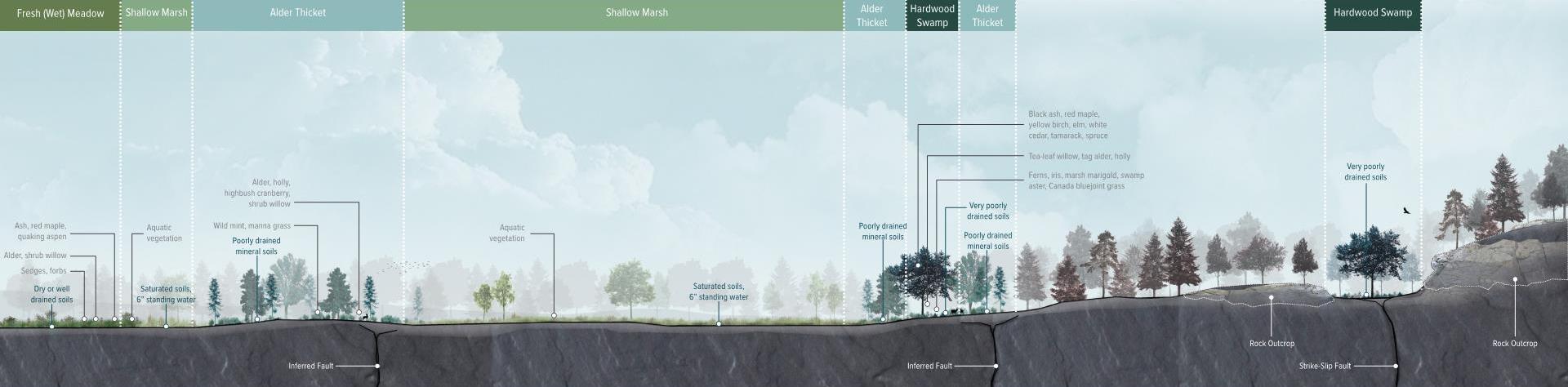 Ecological Section
