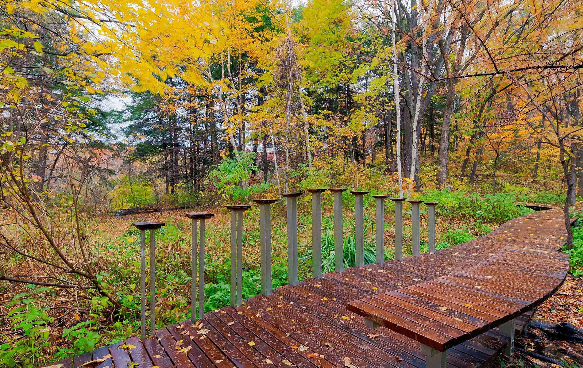 Wetland Boardwalk Eloise Butler Wildflower Garden