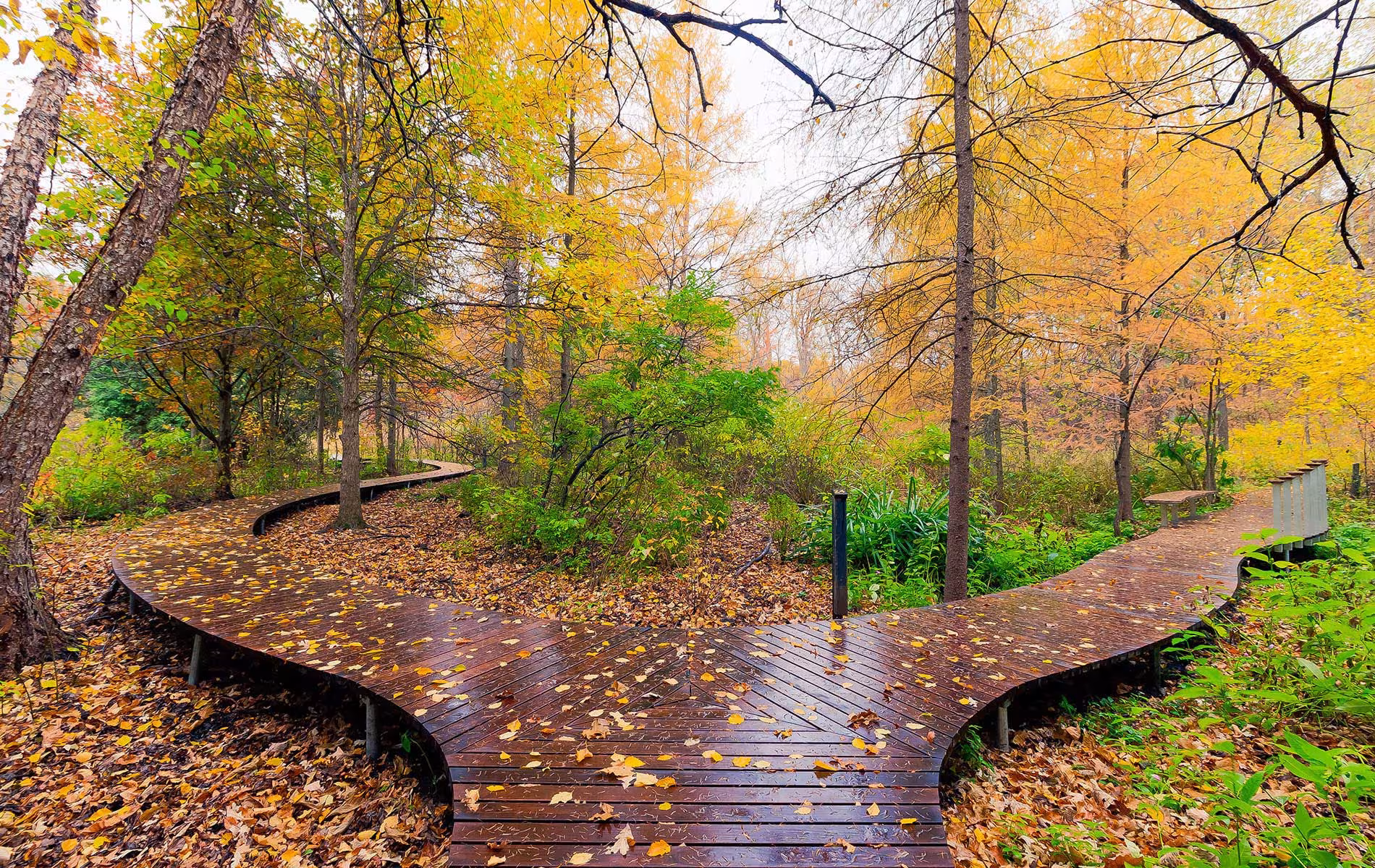 Eloiseboardwalk 0167 68 69 70 71 72hdr