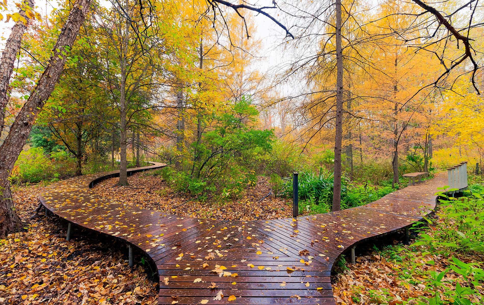 Eloiseboardwalk 0167 68 69 70 71 72hdr