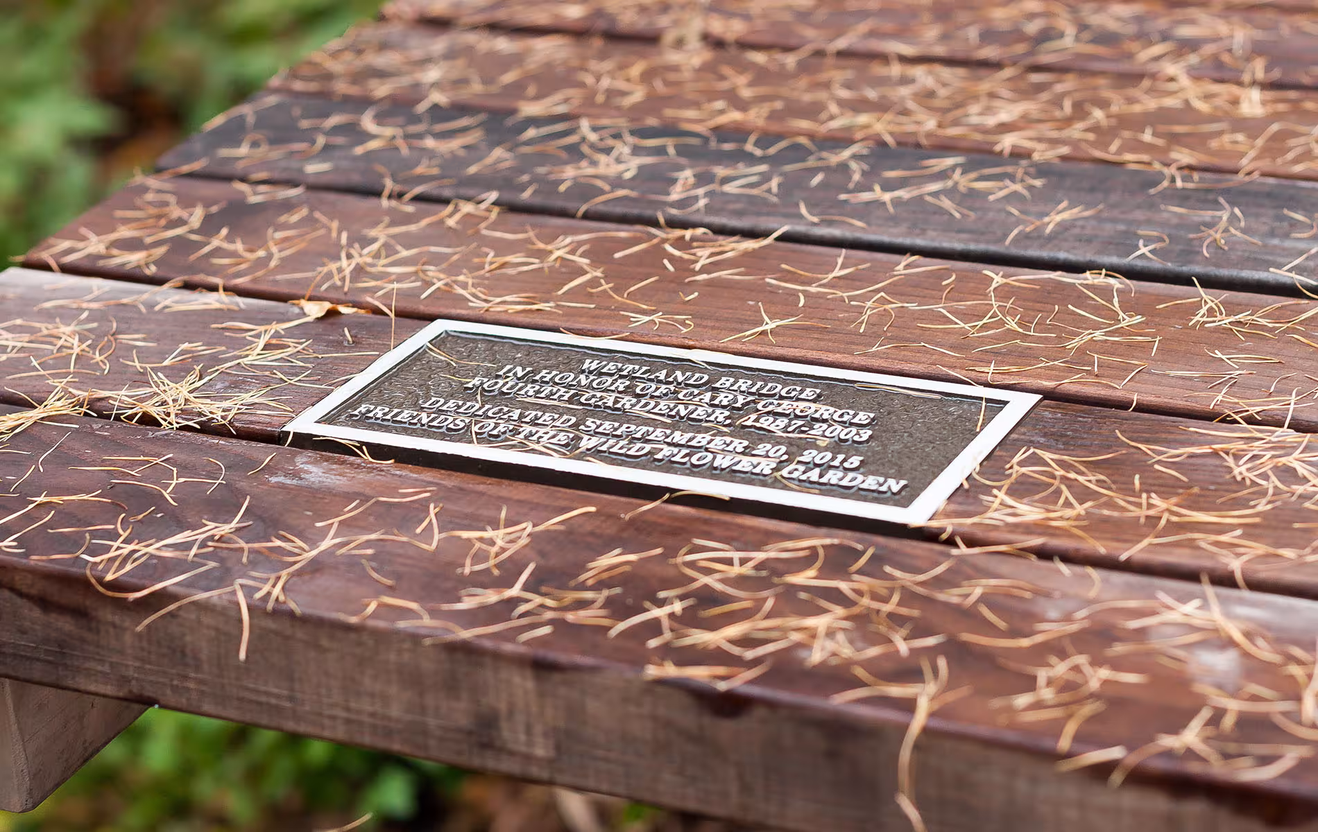 Wetland Boardwalk Eloise Butler Wildflower Garden