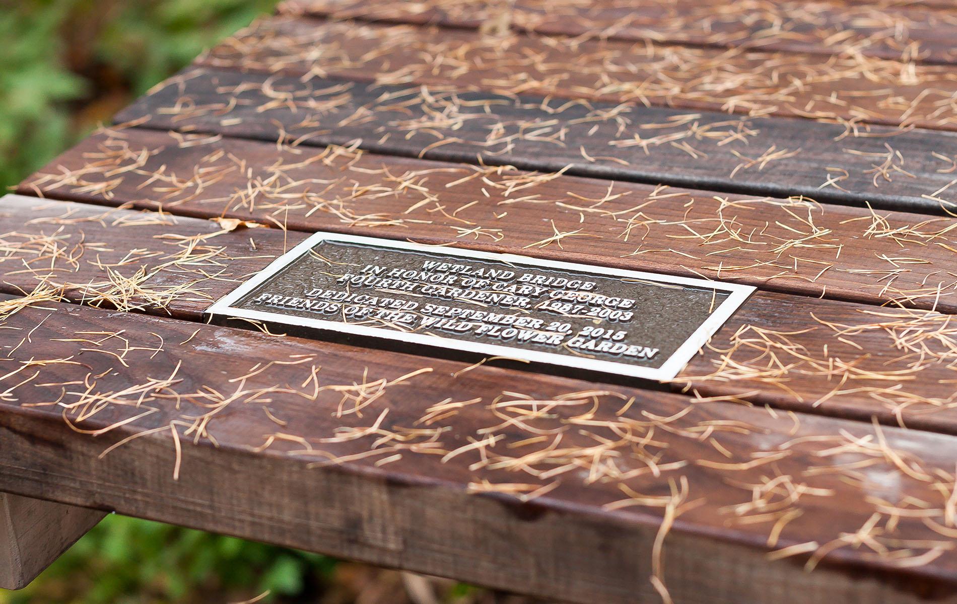 Wetland Boardwalk Eloise Butler Wildflower Garden