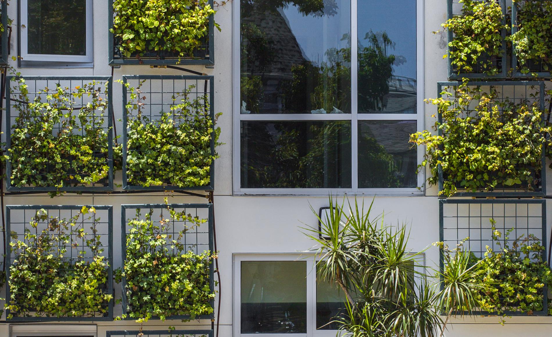 Garden Wall