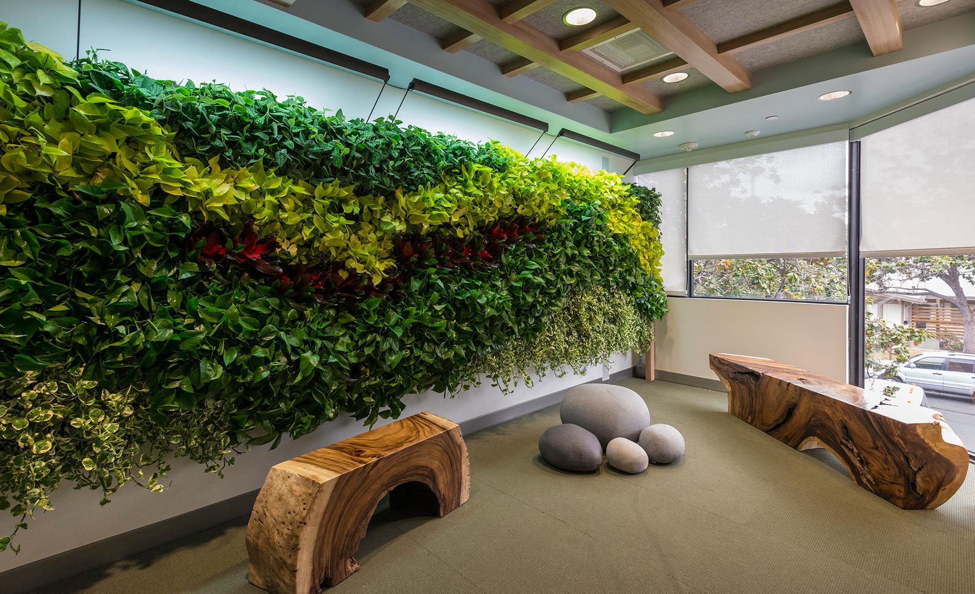 Kaiser Santa Monica Medical Office Building Tenant Improvement Interior with greenery