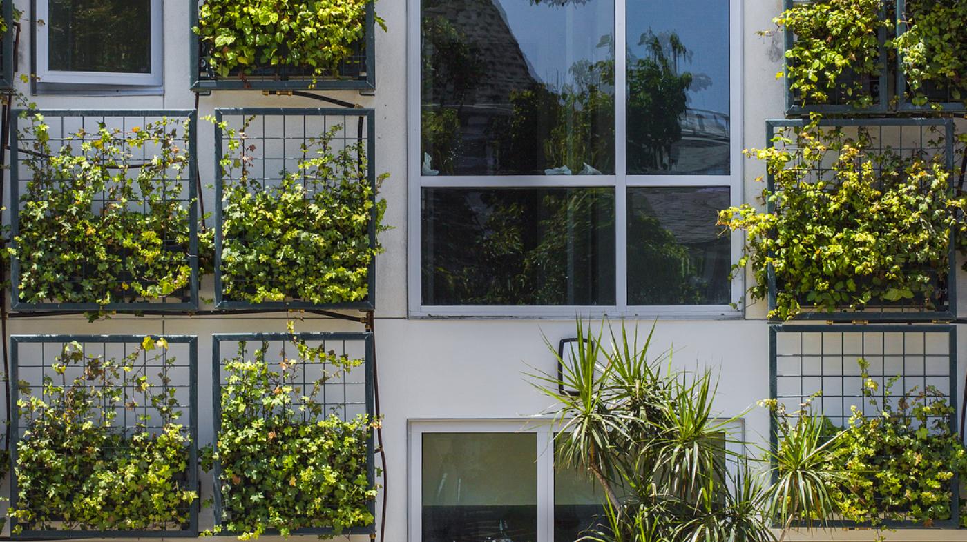 Garden Wall