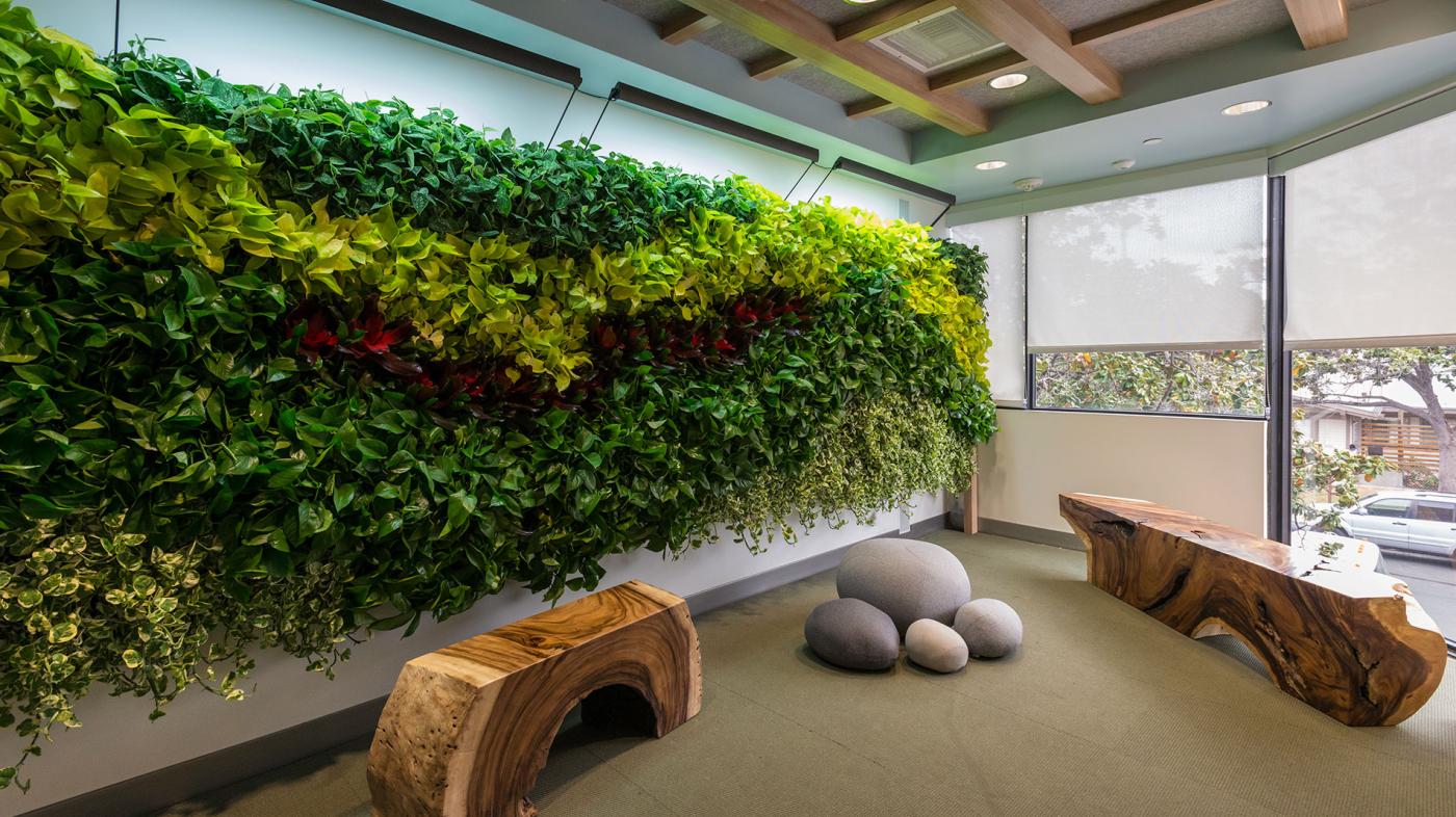 Kaiser Santa Monica Medical Office Building Tenant Improvement Interior with greenery