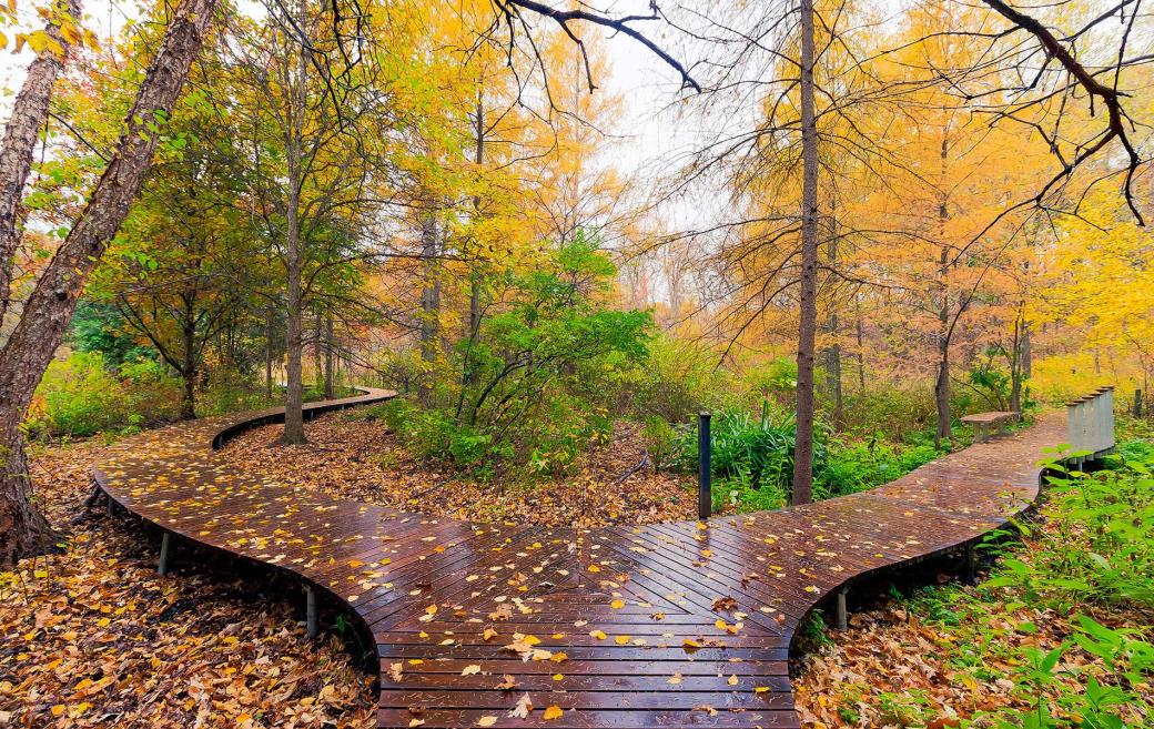 Eloiseboardwalk 0167 68 69 70 71 72hdr