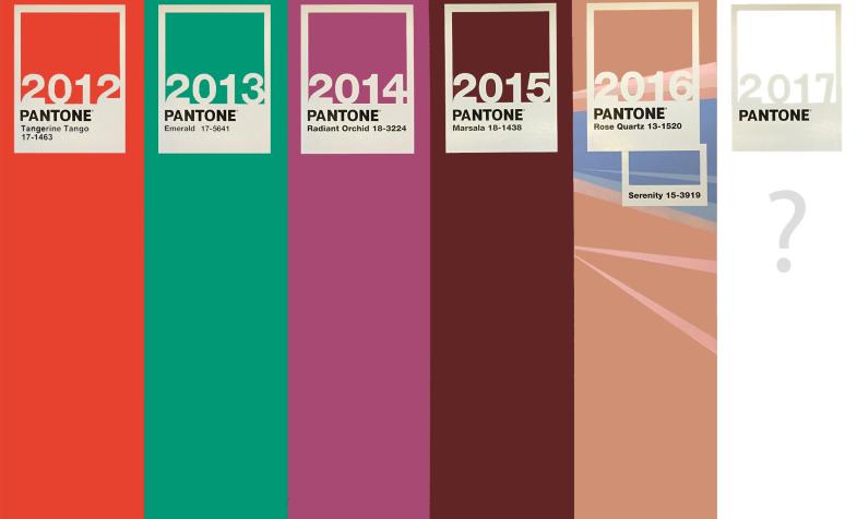Colors of the year graphic