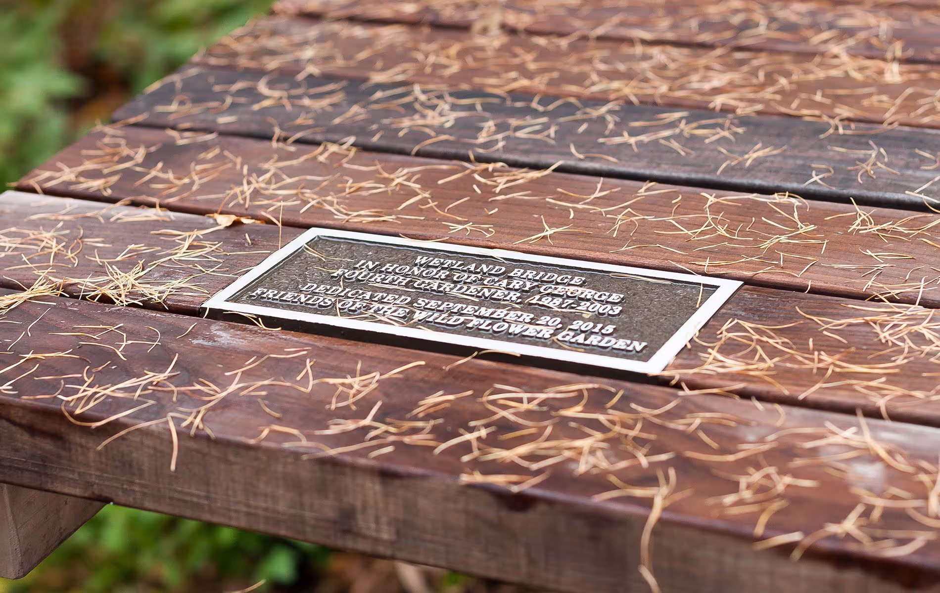 Wetland Boardwalk Eloise Butler Wildflower Garden