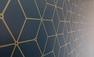 Wallpaper pattern detail from Caliper Apartments 