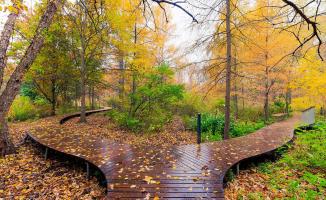 Eloiseboardwalk 0167 68 69 70 71 72hdr