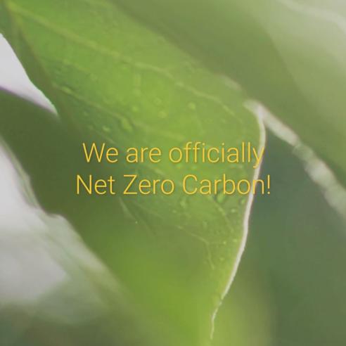 Net Zero Carbon